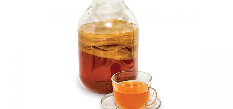 Kombucha Make Kombucha