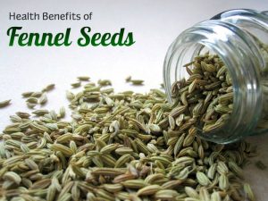 Fennel Seeds