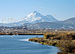 KlamathLakeMtShasta