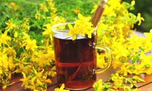 st-john-wort-tea