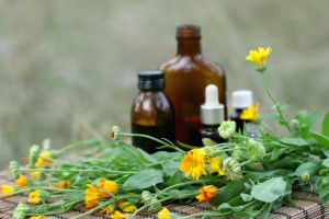 Calendula flower essential oil and tincture