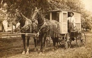 horse and buggy herbalist