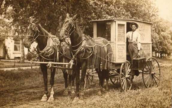 horse and buggy herbalis