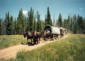 Wagon Train