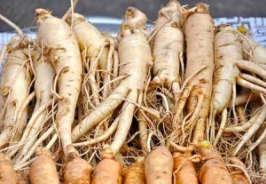 ashwagandha roots