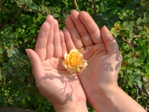 flower hands