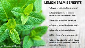 Lemon Balm Benefits