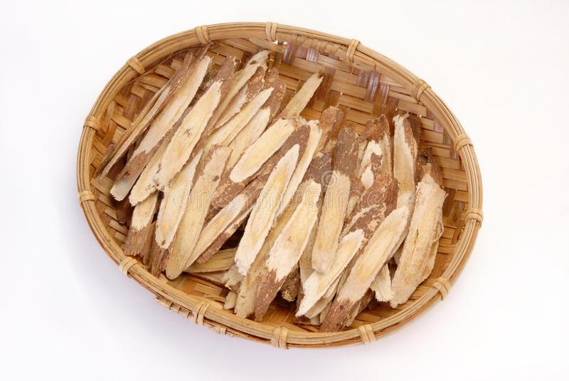 Astragalus roots