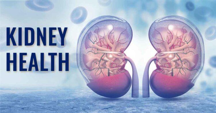 kidney health - Self-Heal School