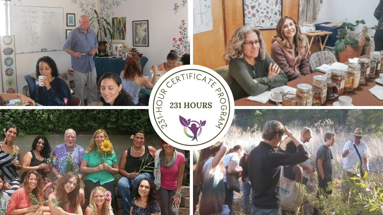 Self-Heal School certificate program collage showing classroom learning, herbal study, students, and an herb-identification walk